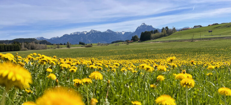 Willkommen auf alpen-massage.de